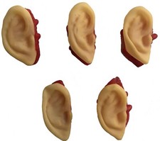 5pc Bloody Body Part Fake HUMAN SEVERED EARS ...