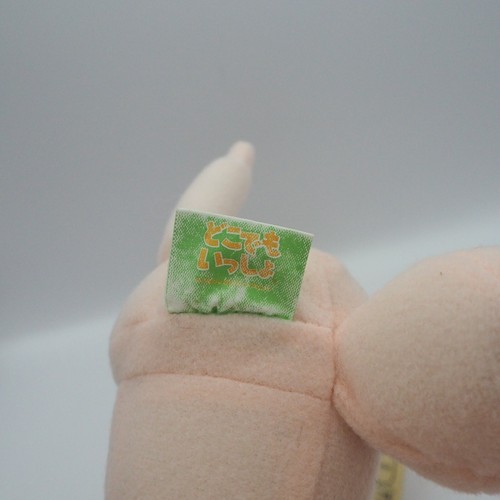 Doko Demo Issyo C2911C June Jun Mihara SCEI 1999 Plush 7" Sleeping TAG Toy Doll - 第 11/11 張圖片