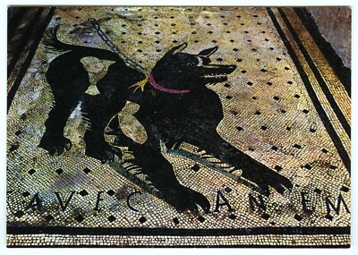 Alte Postkarte Pompeji römisches Mosaik Vorsicht vor der Hundehöhle Canem unbesendet