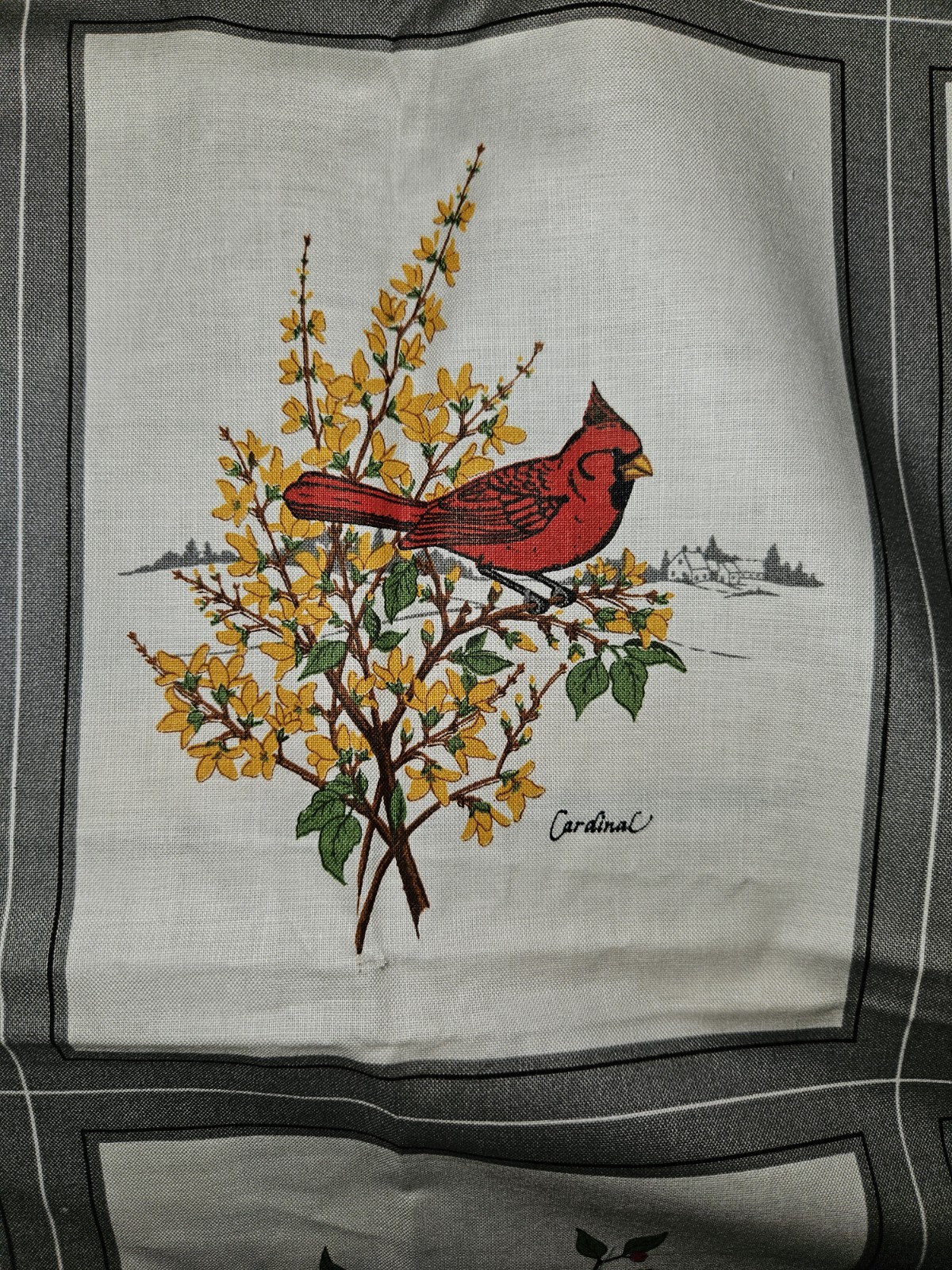 Picture 6 of 15