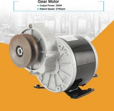 Brushed Motor Gear Reduction Electric Motor Gear Motor w/ Belt Pulley 12VDC 250W