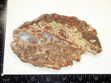 Super Mushroom Jasper Slab - 159g - Rare Old Stock / Old Collection
