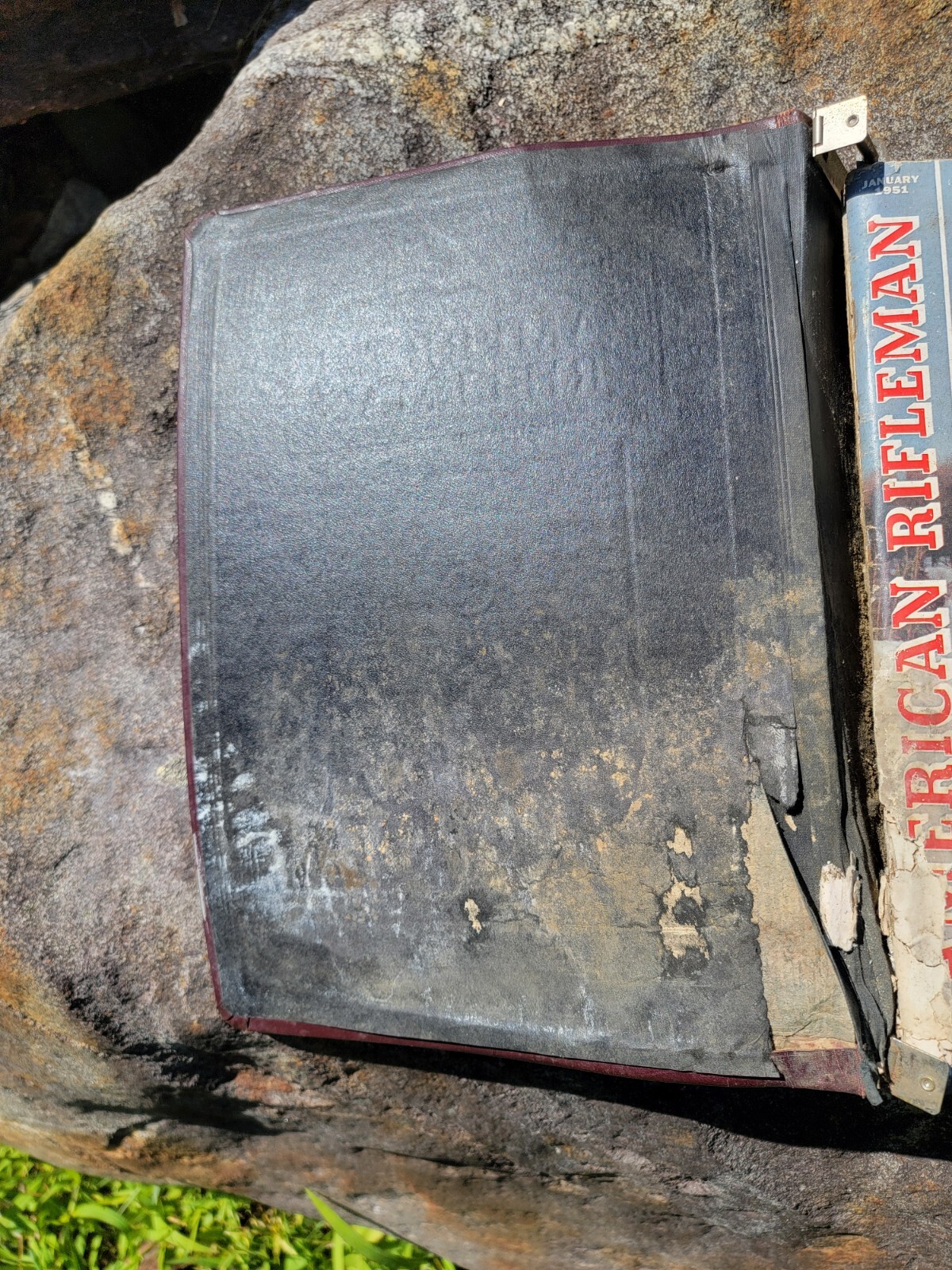 Picture 7 of 16