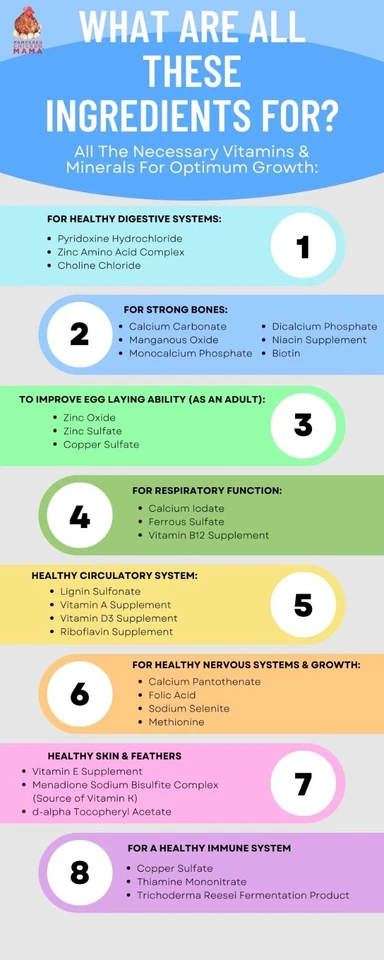 Alimento herbal para iniciadores y cultivadores de pollitos 18 % con orégano y ajo para pollos bebés Foto 3 de 3