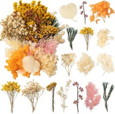 Trockenblumen Klein, Getrocknete Blumen, Trockenblumen Zum Basteln Kunstblume...