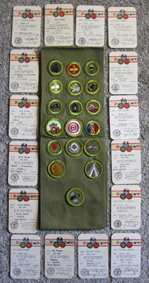Vintage Boy Scouts BSA Sash with 18 1950s 1960s Merit Badges & 16 Cards