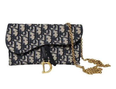 Dior saddle wallet on chain crossbody bag