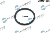 Dr.Motor Automotive DRM01205 Dichtung FüR Wasserpumpe FüR BMW