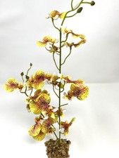15" MD 2-stem GOLD Oncidium ORCHID Soft Silk flower aquarium plant, Stone base,