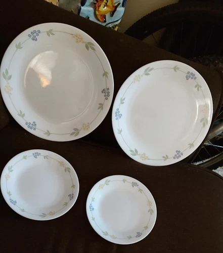 Corelle Plates 2 Dinner 2 Bread Plates The Secret Garden Pattern