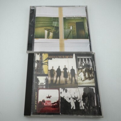 Hootie & The Blowfish/Darius Rucker | 2 CD Album Bundle Lot