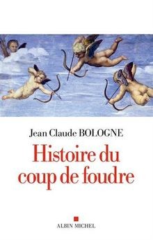 Histoire du coup de foudre  von Bologne-J.C | Buch | Zustand sehr gut