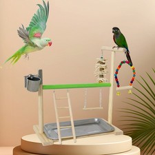 Parrot Playstand Bird Play Stand Cockatiel Playground Wood Perch Gym Toys  