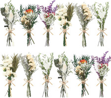 12 Pack Dried Flowers for Vase Various Mini Bouquet Dried Small Wildflowers N...
