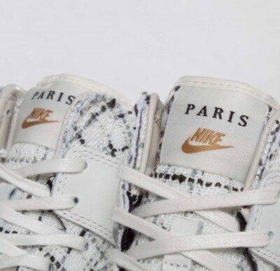 Nike Dunk Sky High City FW QS Paris 2012 Hidden Sneaker