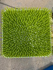 Boon Lawn Countertop Drying Rack - Green Pre-owned