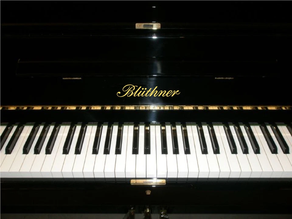 Bluthner Metallic Gold Klavier Name Marke Vinyl Transfer Aufkleber Aufkleber