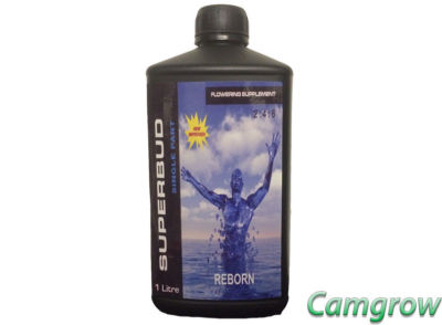 Superbud Reborn 1L - The Ultimate Weight Gaining Nutrient For