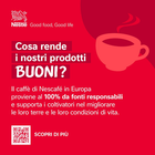 Foto 7 di 12