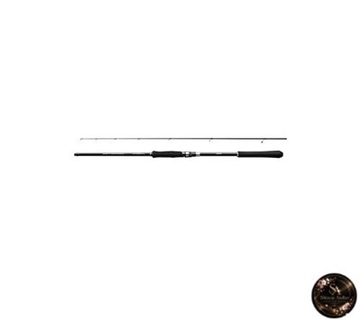 Shimano SHIMANO 19 Salty Advance Eging S83M
