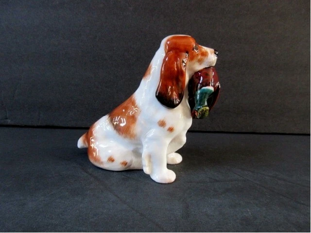 Basset x on sale cocker