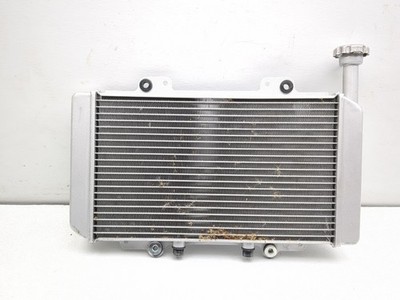 20 Coleman Outfitter 400 UT400 Front Radiator Cooler Cooling
