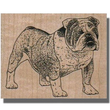 Rubber Stamp, ENGLISH BULLDOG, Dog Stamp, Cute, Pet,Pup, British Bulldog, Animal