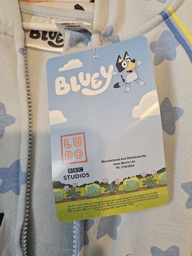 Bluey Kids Disney Character Hoodie Size 5 - Picture 5 of 11