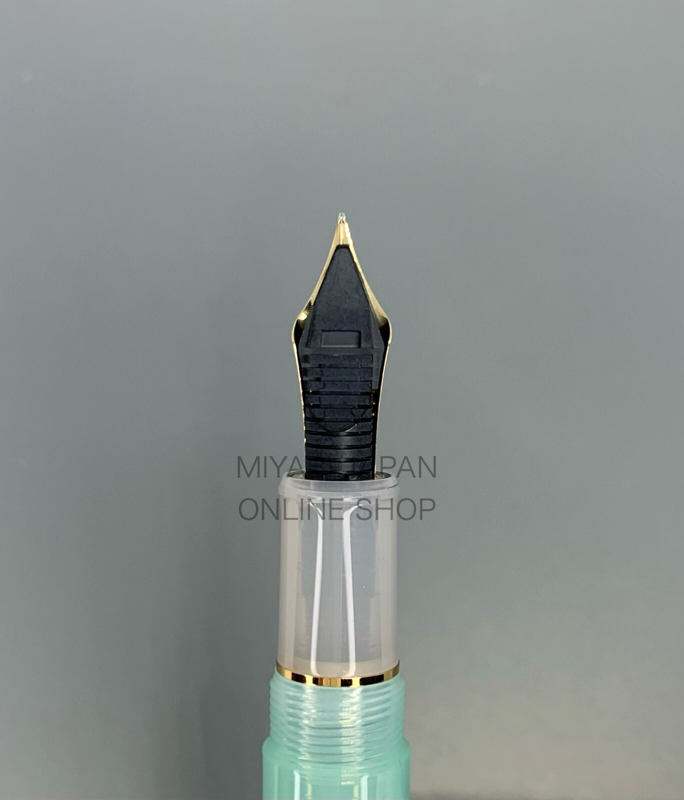 New PLATINUM #3776 Century PEPPERMINT TEA 14K Medium Nib Nonble Tea Series No. 4