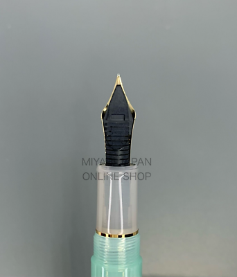 New] PLATINUM #3776 Century PEPPERMINT TEA 14K Broad Nib Nonble