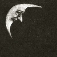 Sceaduhelm | Crippled Black Phoenix | Vinyl / Schallplatte | 2026