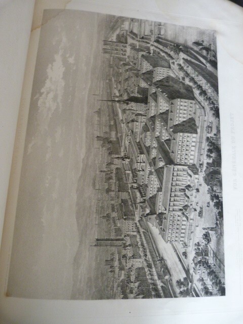 Picture 12 of 12
