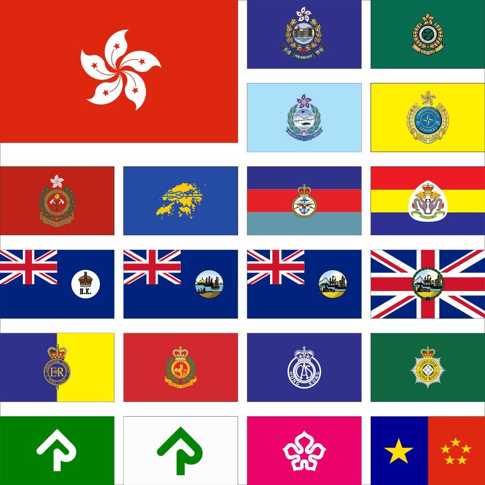 Hong Kong Flag Police Immigration Department C&ED CSD HKPF CAS RHKR FSD Regiment