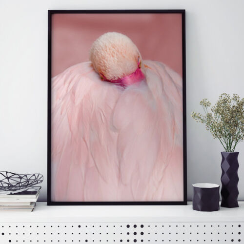 JUNIWORDS Poster mit Rahmen "Sleepy Flamingo" Geschenk Safari Tiere DIN A4 A3 A2 - Bild 1 von 6