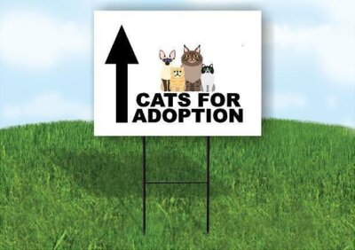 CATS FOR ADOPTION STRAIGHT ARROW BLACK Yard Sign with Stand LAWN SIGN