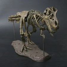 Dinosaur Skeleton Fossils Bones Kids Toy Collection Animal 4D Model Decor