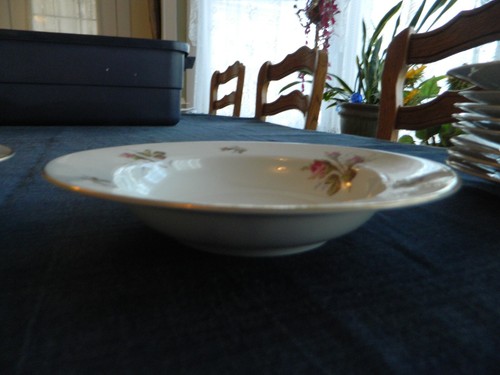 ROSENTHAL CHINA CONTINENTAL "PETAL LANE" (2) 8 1/2" RIMMED SOUP BOWL 8-1 - 第 6/8 張圖片