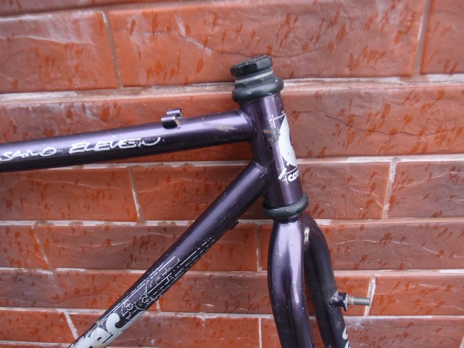 Picture 19 of 24