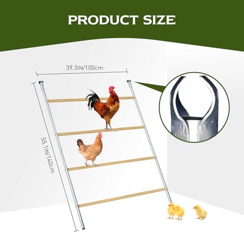 Chicken Coop Roosting Perch Essentials, Chicken Roosting Ladder, 55"L x