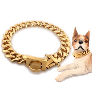 gold plated dog collar