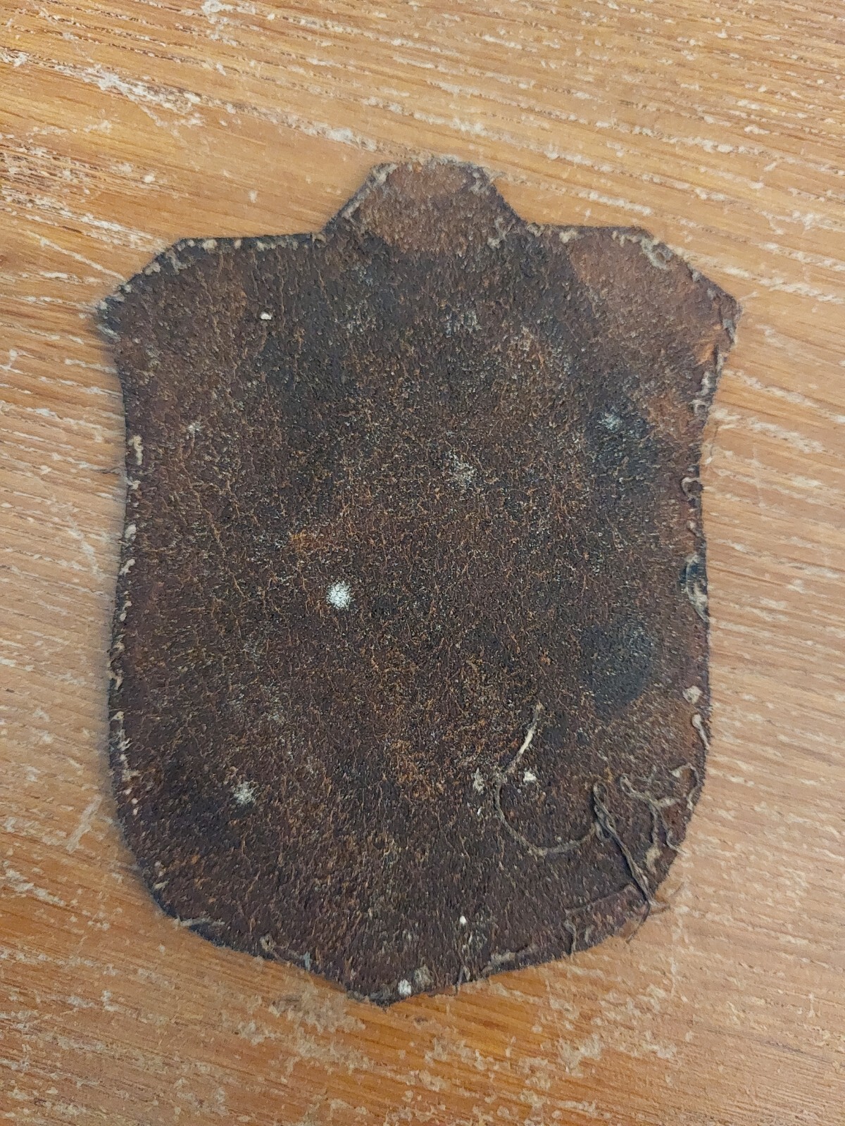 Picture 5 of 5