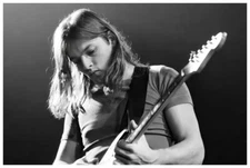 David Gilmour Poster 24x36 Inch Live Concert Photo Rare Wall Art Print - DG02