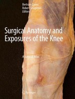 Surgical Anatomy And Exposures Of The Knee Robert ¿Migielski