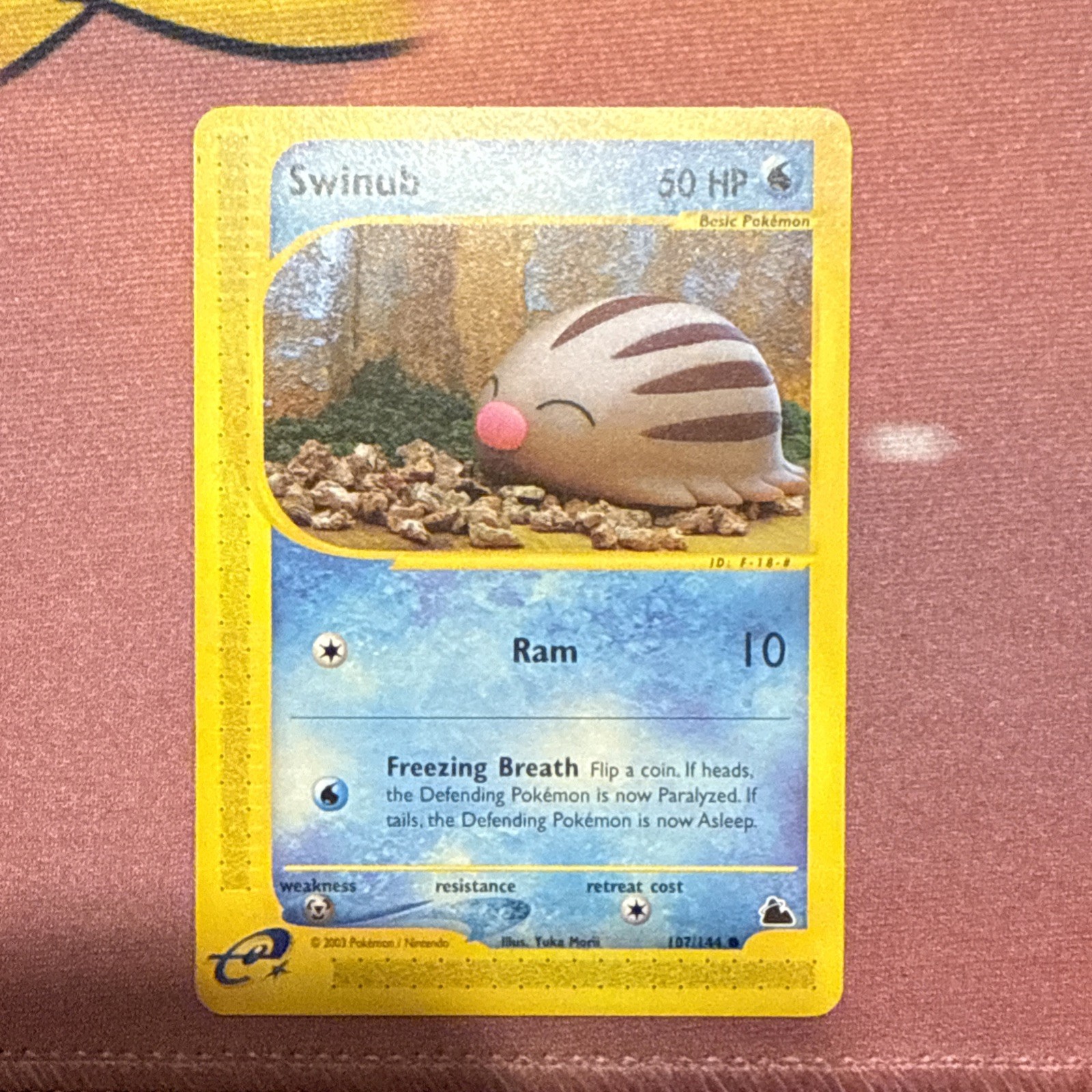 Swinub 107/144 Skyridge 2003 E-Reader Pokémon Card TCG MINT RARE VINTAGE