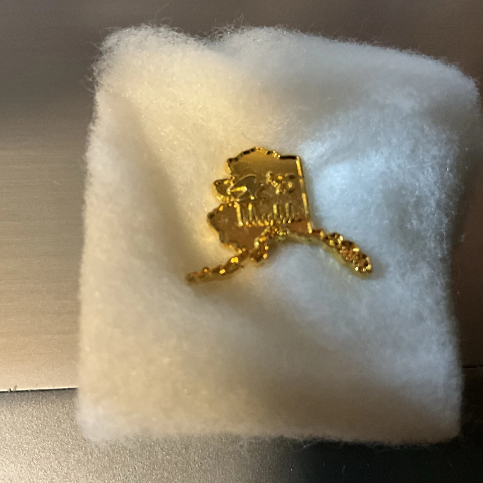 State of Alaska Vintage Lapel Pin gold tone AVON with box - Image 3 of 4