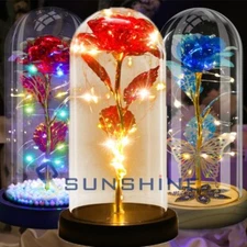 Rosa preservada rosa encantada cristal con luces LED para mamá mujer de Navidad