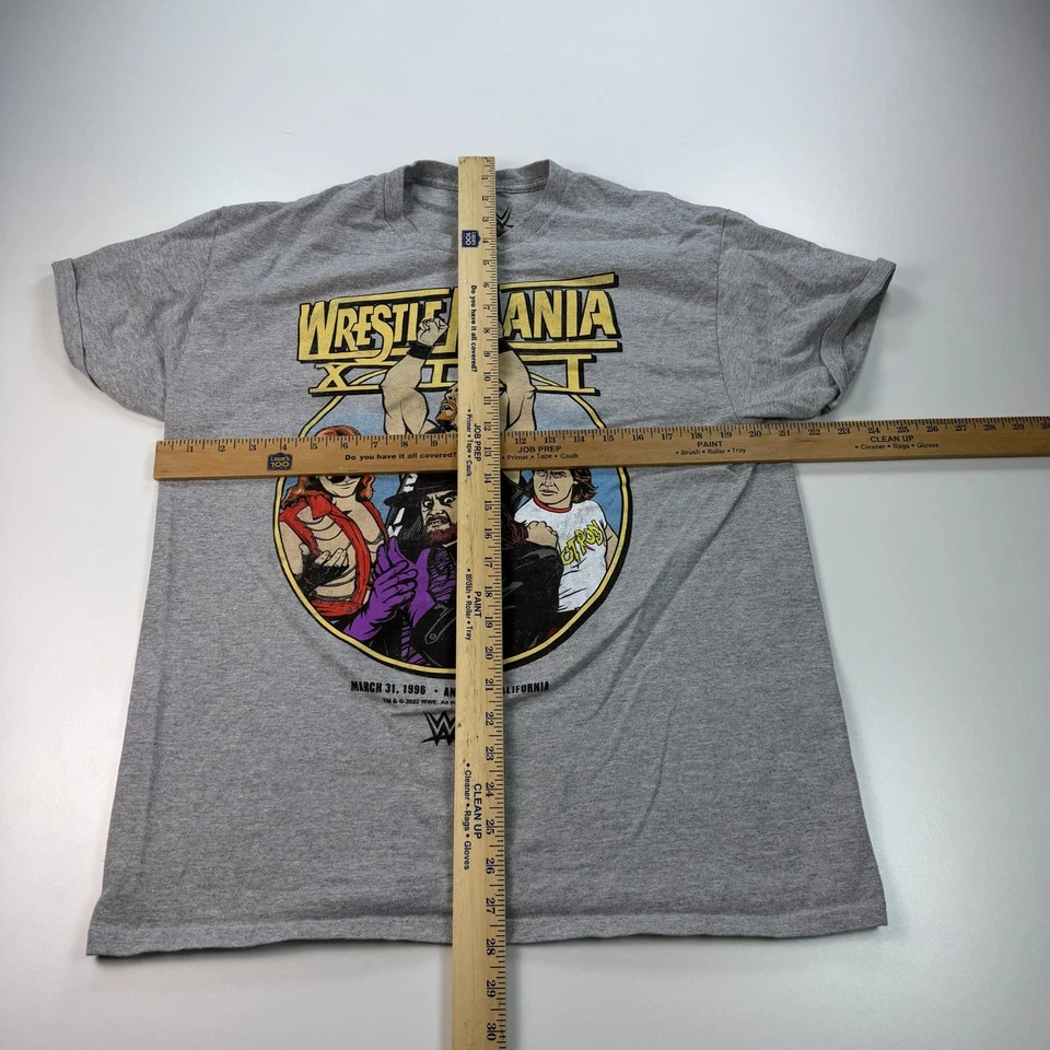 WWE 摔跤狂热衬衫成人大号灰色圆领石头冷底图案 — 第 4/4 张图片