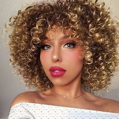 Fluffy Afro Kinky Short Curly Wig New Synthetic Full Head Cap Wig for Women