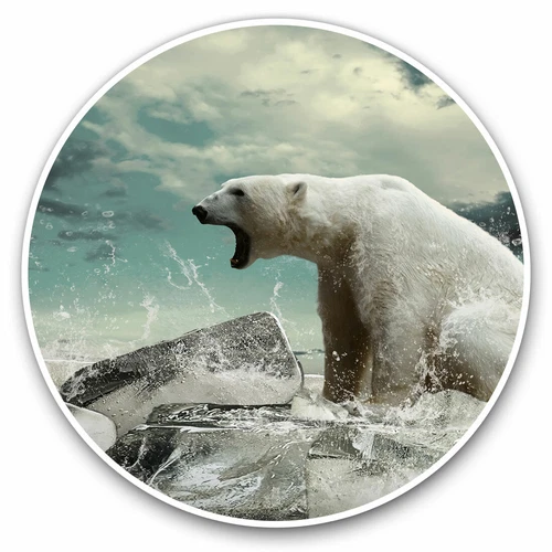 2 x Vinyl Stickers 20cm - Angry Polar Bear Print Scary Animals Cool Gift #8274