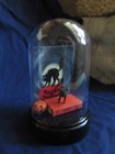 Small Cloche Dome w/ Cat, fake Cat book, Cat Picture, & Jack 'o' Lantern, ~5.5" — photo 1